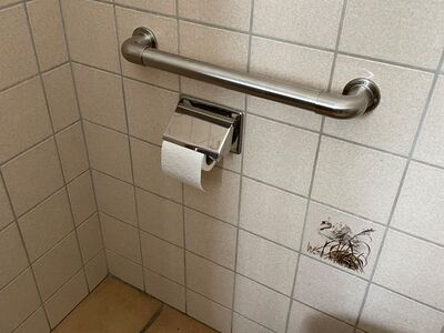 Flexo Haltegriffe in der Toilette