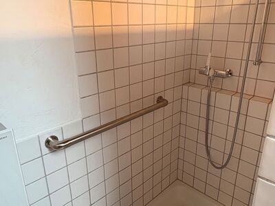 Flexo Haltestange - Sicher in der Dusche