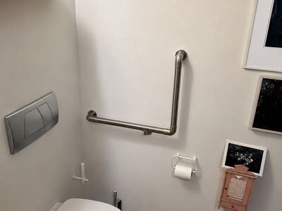 Flexo - Haltegriff in der Toilette